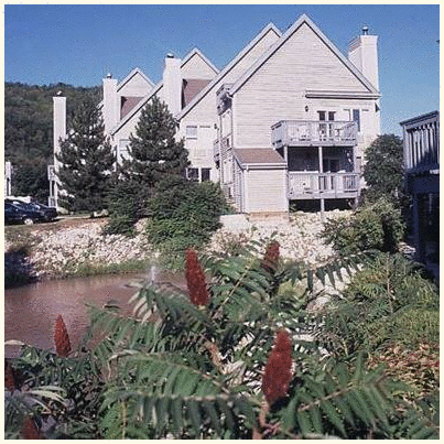 Blue Mountain Chalets: fotografie