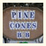Pine Cones Bed & Breakfast: fotografie