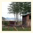 A Vineyard Room: fotografie
