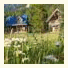 Nipika Mountain Resort: fotografie