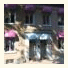 Couette et Chocolat B&B: fotografie