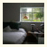 Island View B&B: fotografie