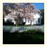 Blueberry Gate Bed & Breakfast: fotografie