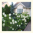 Yolanta's Bed & Breakfast: fotografie