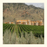 Spirit Ridge Vineyard Resort & Spa