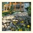PineWood Bed & Breakfast: fotografie
