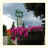 Foothills Motel: fotografie