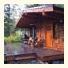 Handsome Dan's Wild Coast Guest Cottages