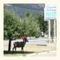 Crystal Springs Motel