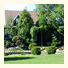 Ferme 5 Etoiles Bed & Breakfast: fotografie