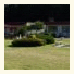 Travellers Rest Motel