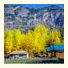 Steamboat Mountain Chalets: fotografie