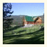 Wildhorse Mountain Guest Ranch Bed & Breakfast
