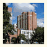 Holiday Inn Express Toronto Downtown: fotografie