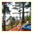 A Snug Harbour Inn: fotografie