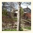 Colonial Creekside Grand Guest House: fotografie