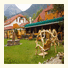 Bayshore Inn Resort and Spa: fotografie