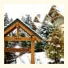 Mountain Star by Aloha Whistler: fotografie