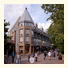 Whiski Jack at Village Gate House: fotografie