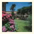 Hotel Mimosa