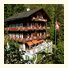 Hotel Bellary: fotografie