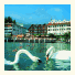 Seehotel Pilatus: fotografie