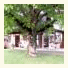B&B Caspar G