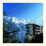 Hotel Alpina: fotografie