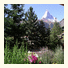 Artist Apartments & Hotel Garni: fotografie