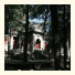 Zen Courtyards