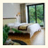 Creek View Hotel: fotografie