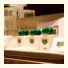 Hotel Suite Chicó: fotografie