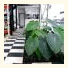 Hotel Torre del Viento