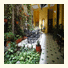 Casa La Fe: fotografie