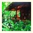 Playa Nicuesa Rainforest Lodge