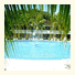 Morgan´s Cove Resort & Casino