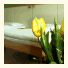 Hotel Museum: fotografie
