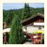 Ferienhotel Waldfrieden: fotografie