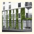 Almodovarhotel Berlin - vegetarisches Biohotel: fotografie