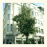 Hotel Lindenhof: fotografie