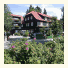 Hotel Grüne Tanne Mandelholz: fotografie