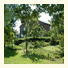 Pension Zum Waldblick