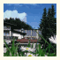 Waldhotel Villa Waldeck