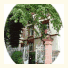 Pension Bruns: fotografie