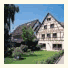 Hotel Traube am See: fotografie