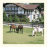 Landhotel Gerbehof