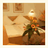 Bodenseehotel Dreikönig: fotografie