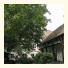 Rhein River Guesthouse: fotografie