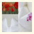Hotel Schlee
