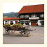 Naturlandhaus Krone